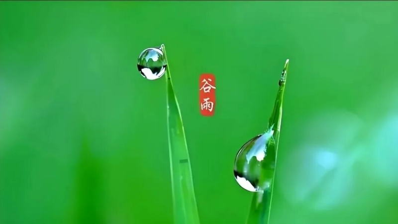 微信图片_20250904185857.jpg