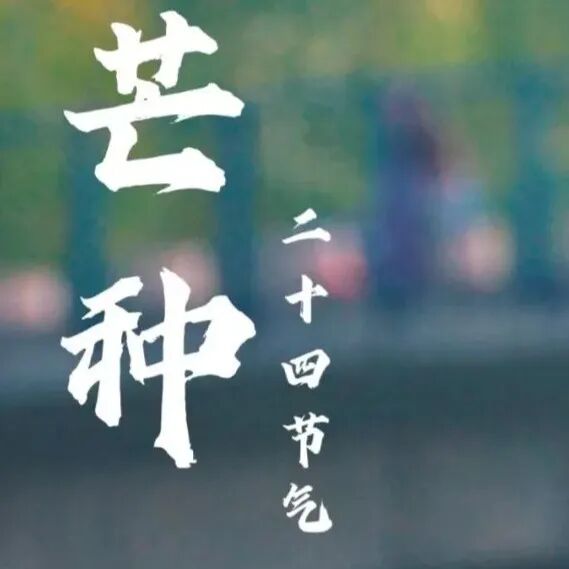 微信图片_20250905195945.jpg
