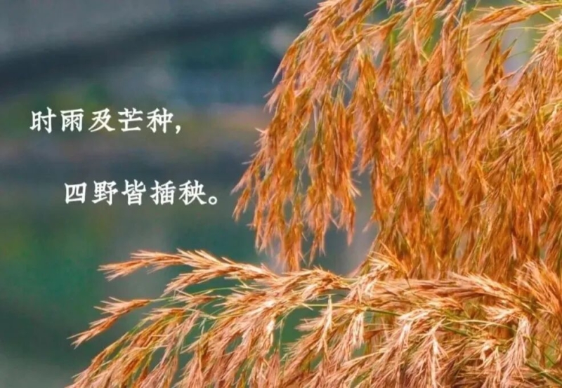 微信图片_20250905200231.jpg